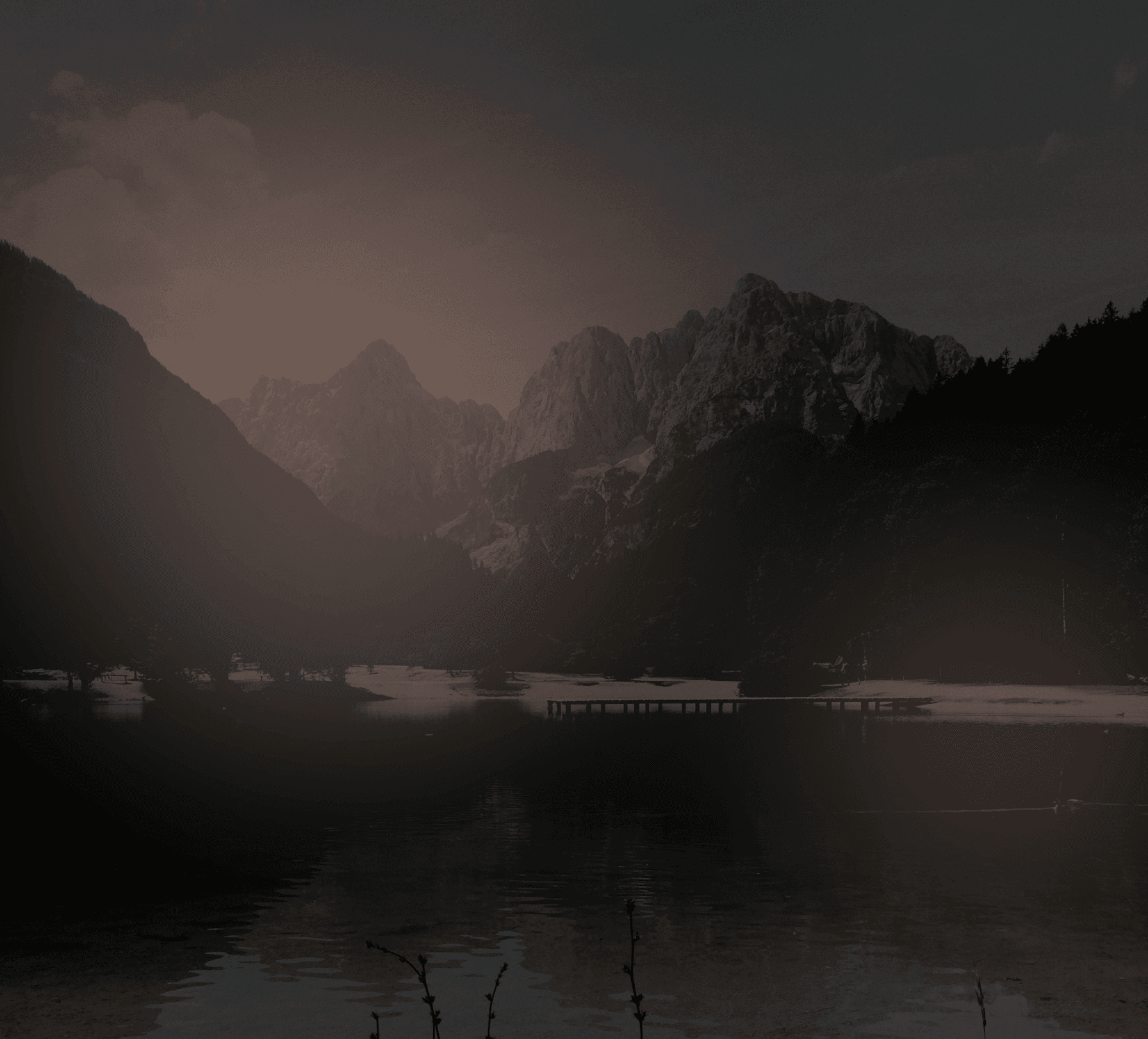 Advisory Council Background